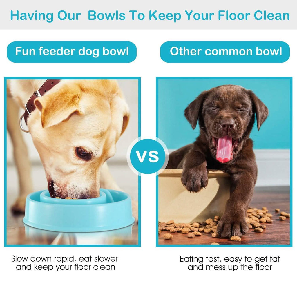 Gamelle anti-glouton pour chien et chat