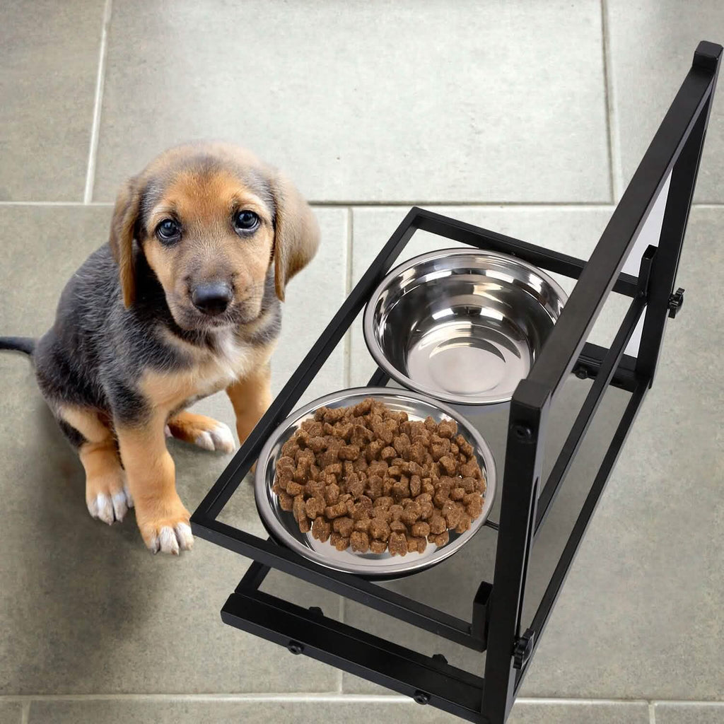 Gamelles surélevées pour chien en acier inoxydable à hauteur réglable