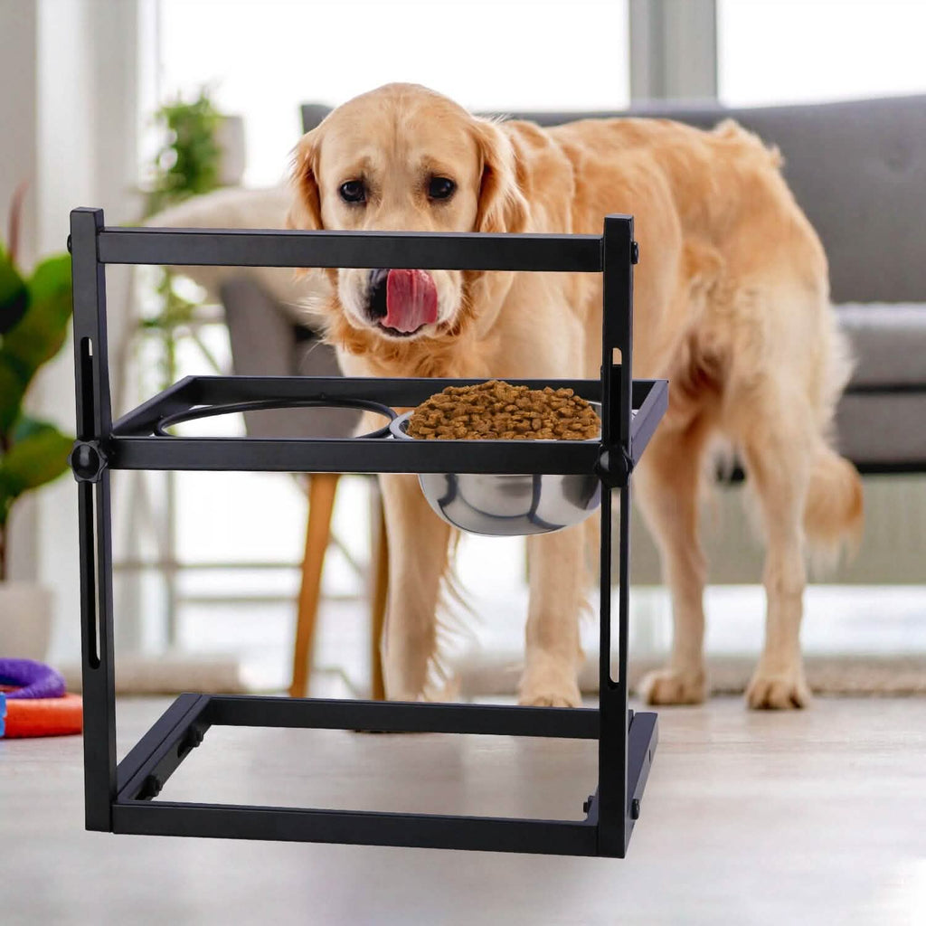 Gamelles surélevées pour chien en acier inoxydable à hauteur réglable