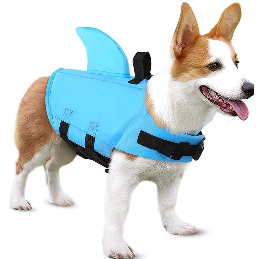 Maillot de bain pour chien avec aileron de requin