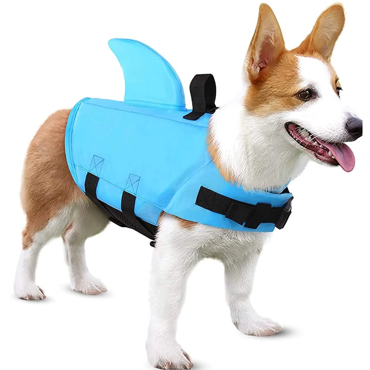 Maillot de bain pour chien avec aileron de requin