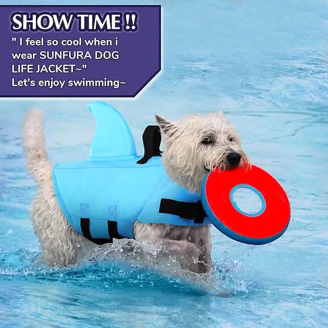 Maillot de bain pour chien avec aileron de requin