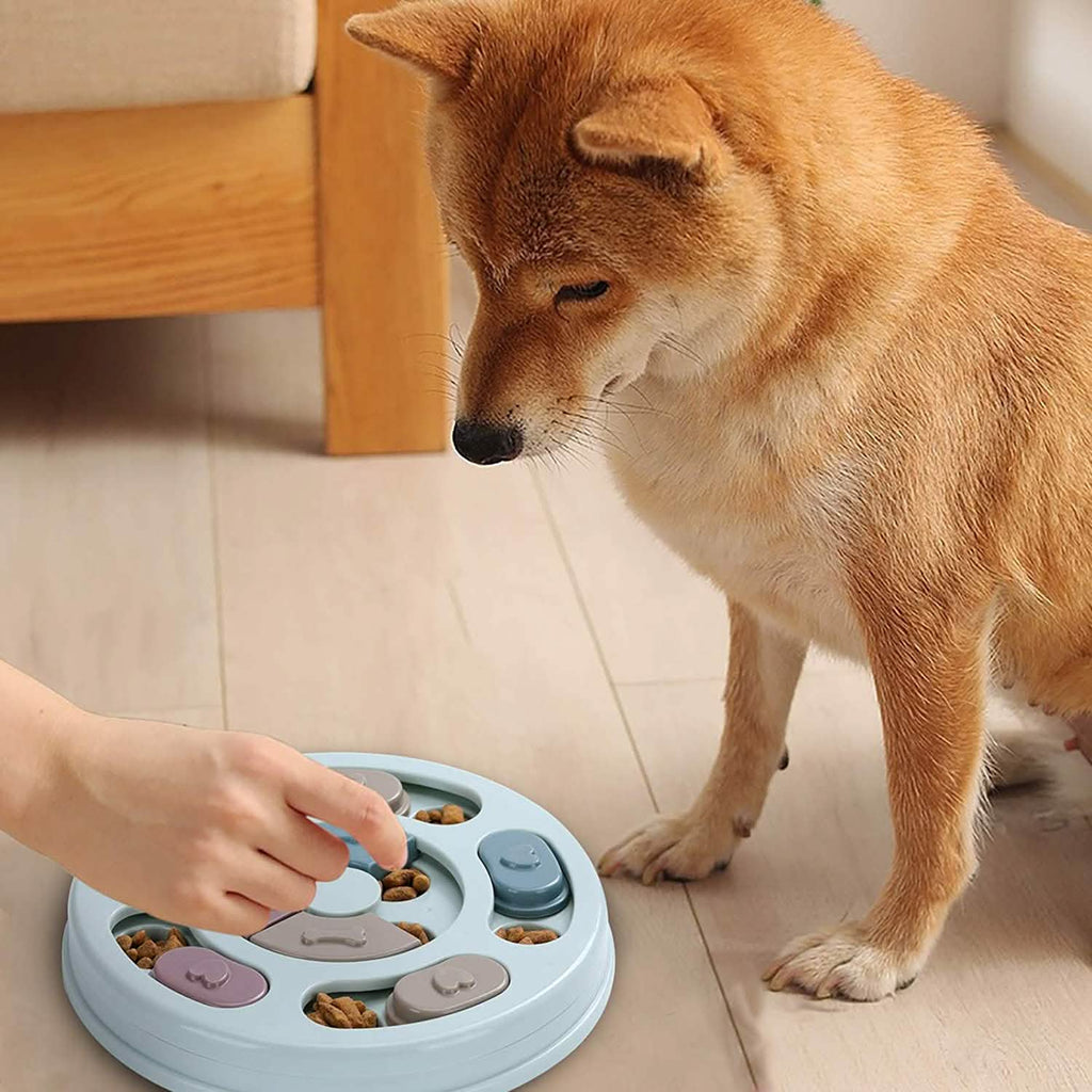 Jouets distributeurs de friandises pour chiens pour l'entraînement du QI et l'enrichissement mental