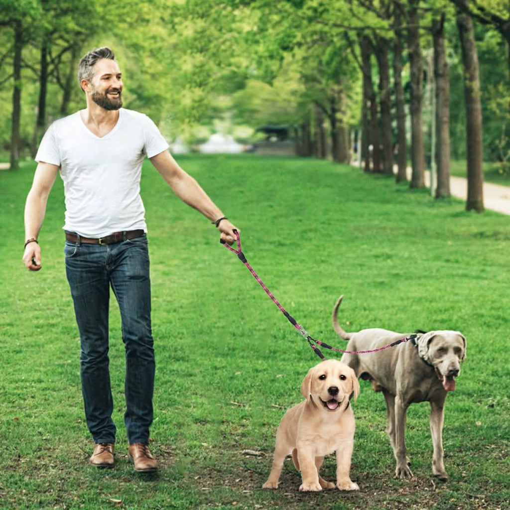 Laisse Double Chien Anti-Emmêlement avec Couplage Pivotant et Poignée Rembourrée