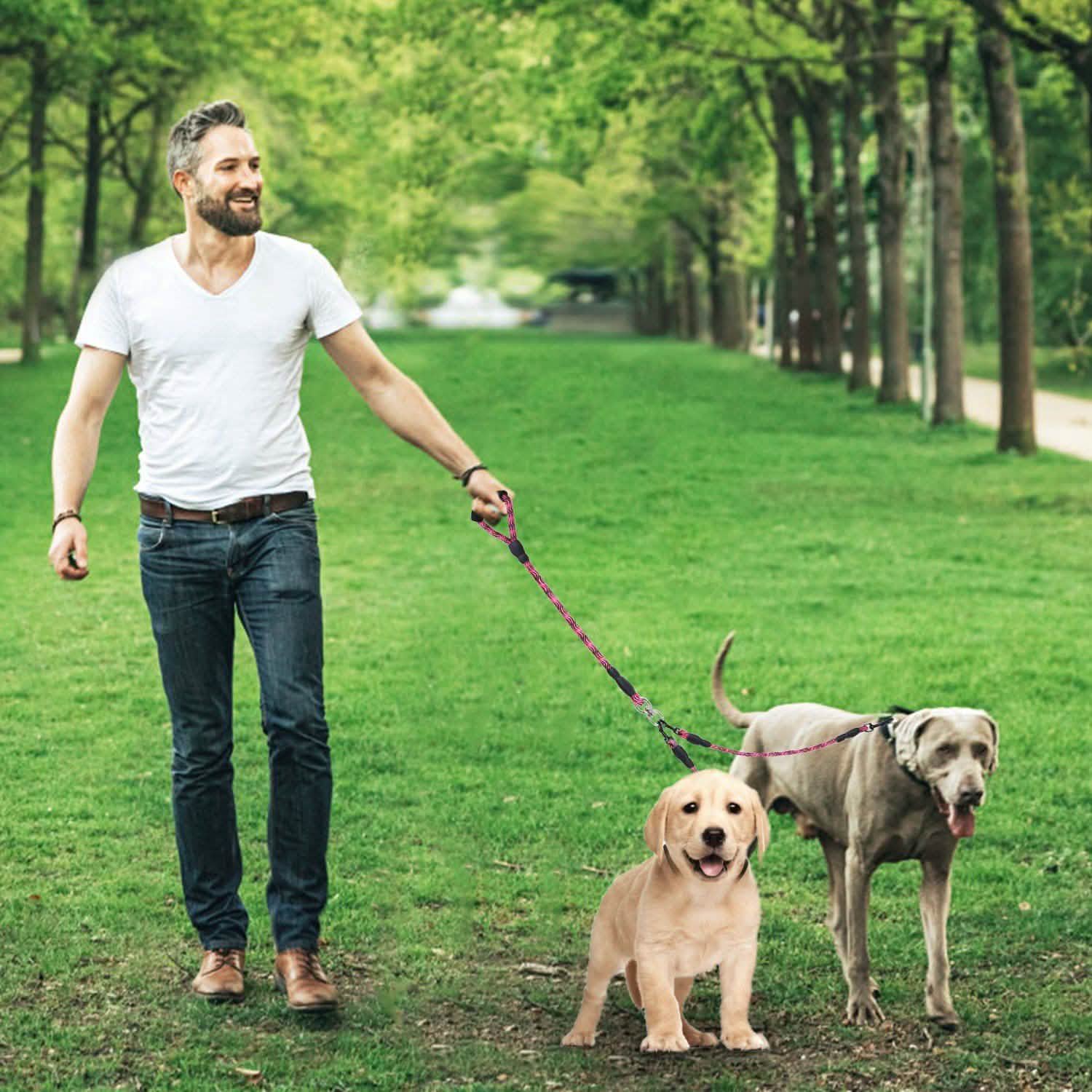 Laisse Double Chien Anti-Emmêlement avec Couplage Pivotant et Poignée Rembourrée