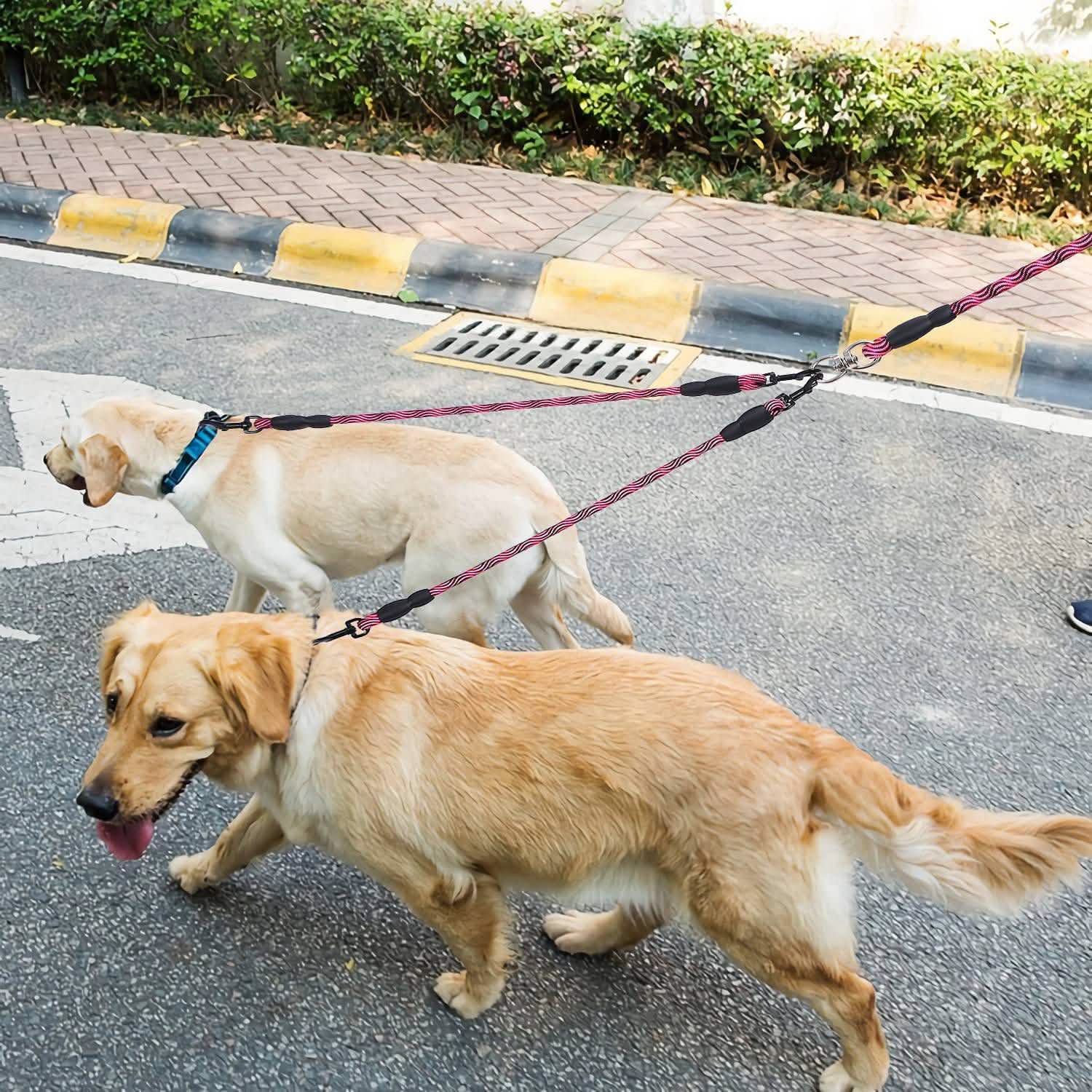 Laisse Double Chien Anti-Emmêlement avec Couplage Pivotant et Poignée Rembourrée