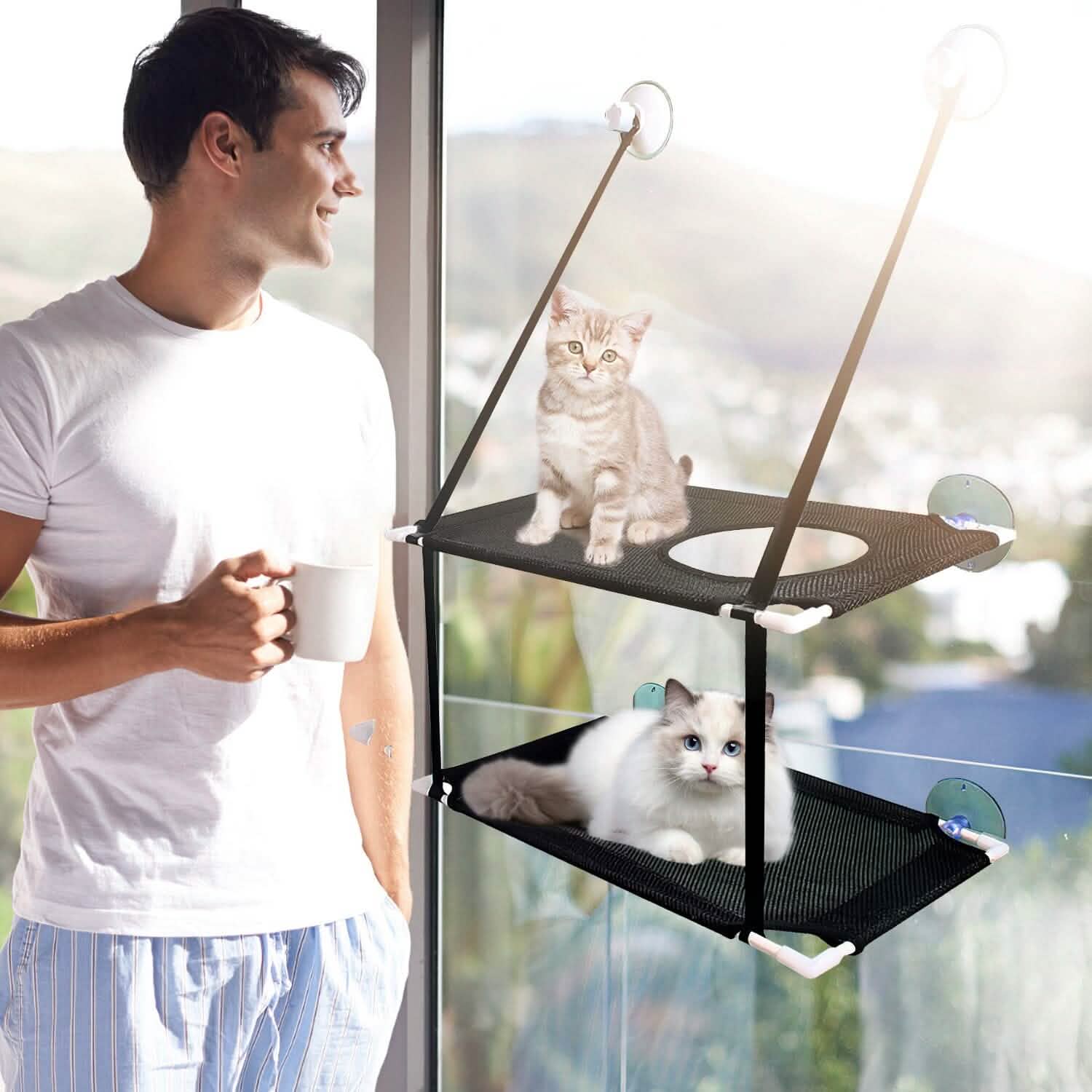 Hamac de fenêtre d'intérieur pour chat double couche avec ventouses puissantes