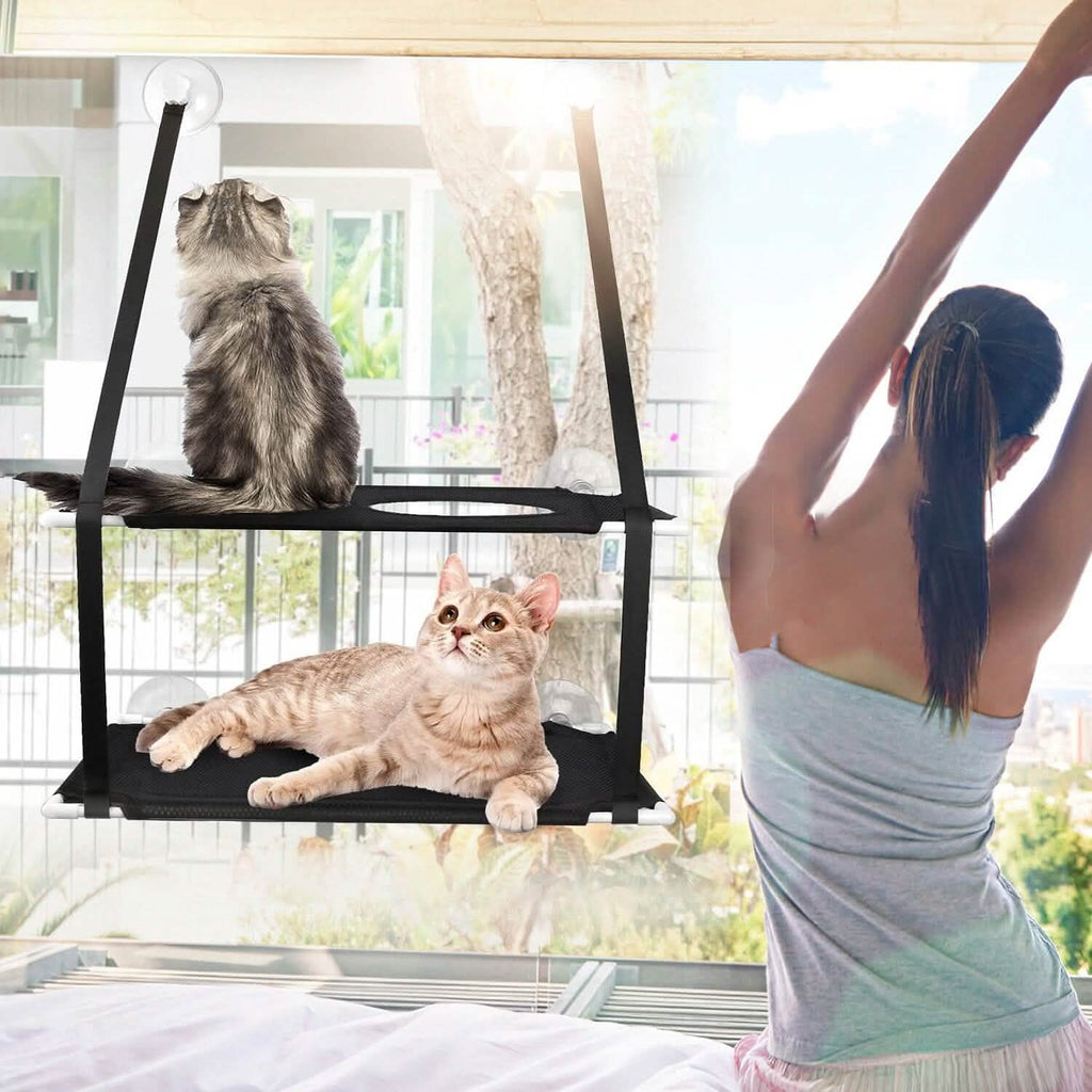 Hamac de fenêtre d'intérieur pour chat double couche avec ventouses puissantes