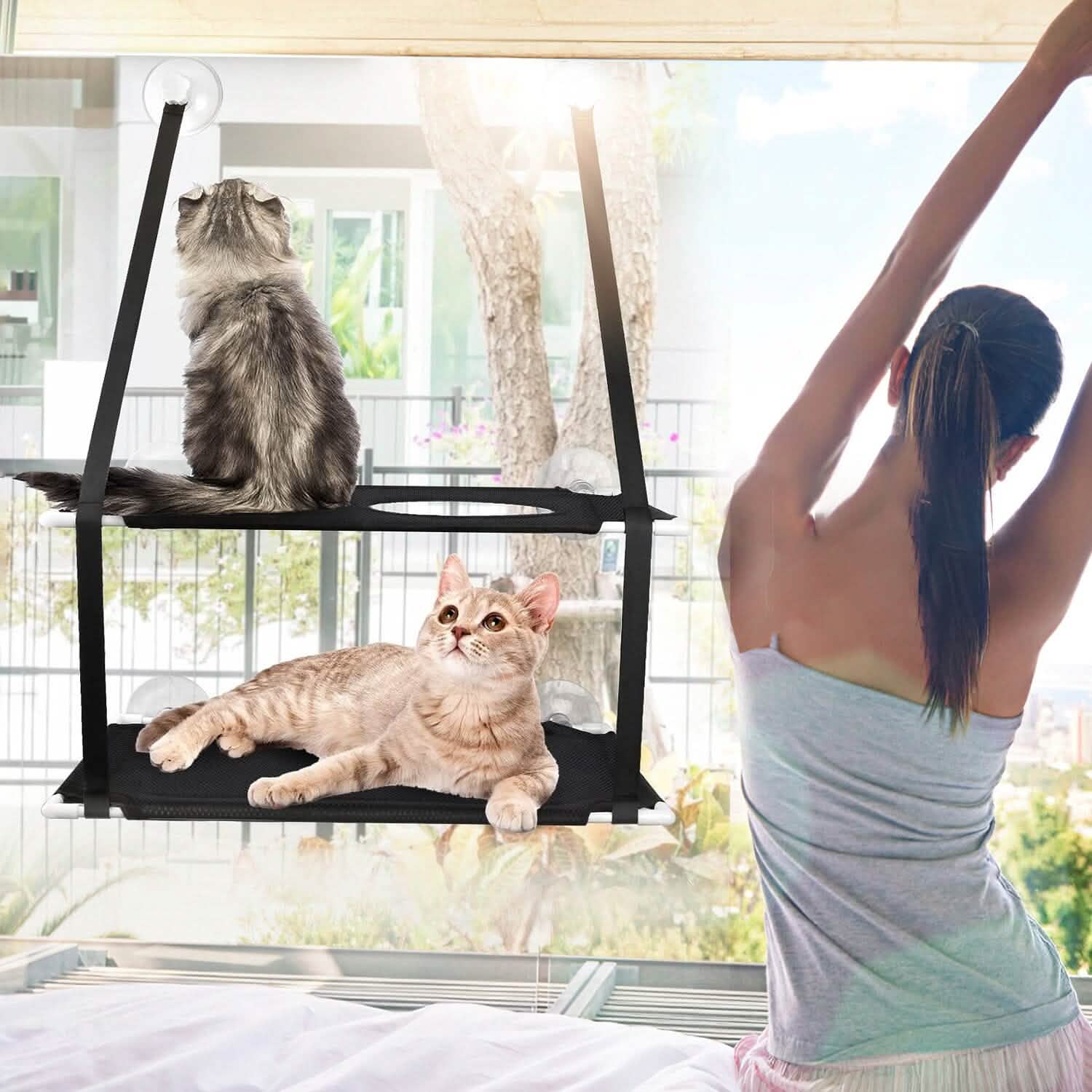 Hamac de fenêtre d'intérieur pour chat double couche avec ventouses puissantes