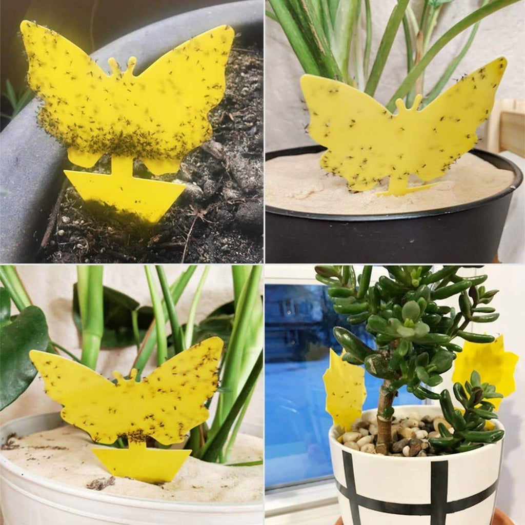 Piège jaune autocollant double face pour insectes volants