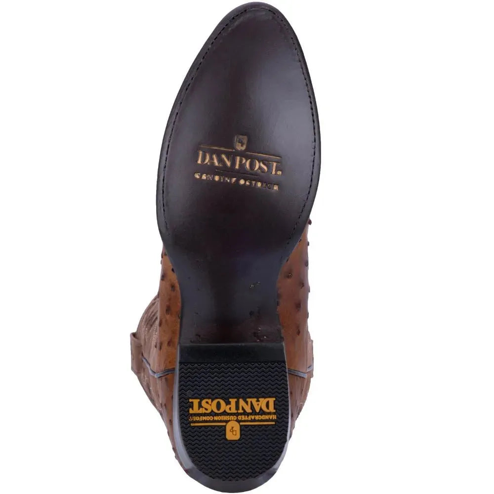 Dan Post Tempe - Bottes de cowboy en cuir d'autruche pour hommes