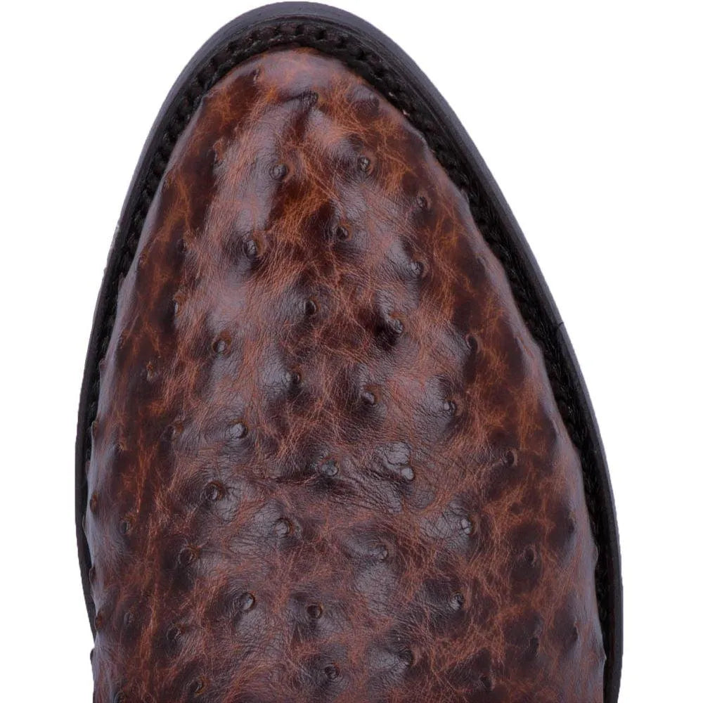 Bottes de cow-boy Dan Post Pershing en cuir d'autruche pour hommes