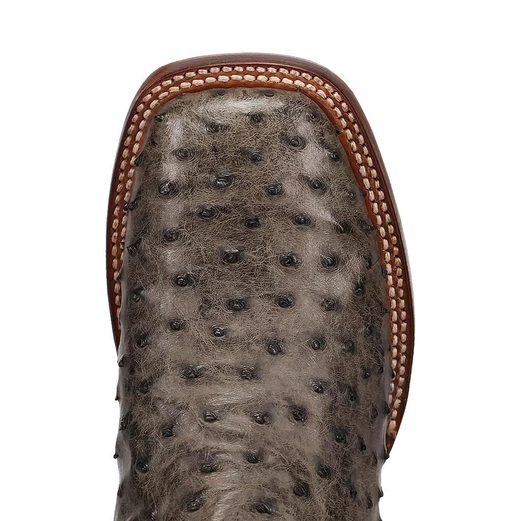 Dan Post Alamosa (Gris/Noir) - Bottes de cowboy en cuir d'autruche pour hommes