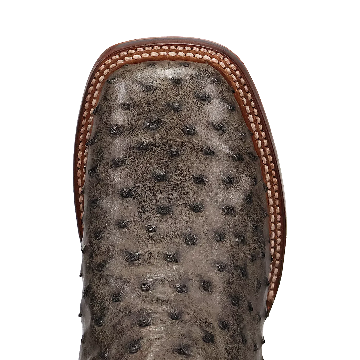 Dan Post Alamosa (Gris/Noir) - Bottes de cowboy en cuir d'autruche pour hommes