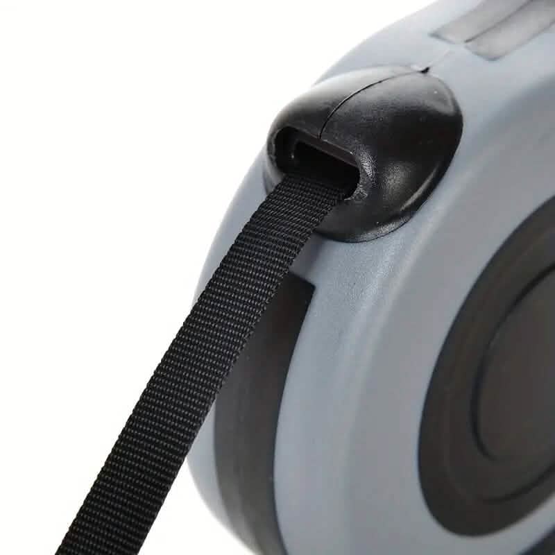 Laisse rétractable double interrupteur durable pour animaux de compagnie