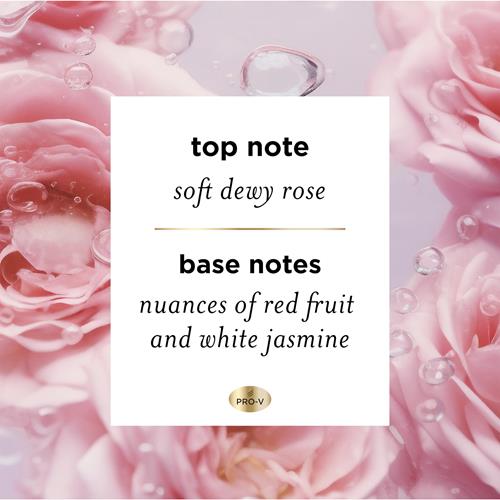 Pantene Nutrient Blends Miracle Moisture Boost – Revitalisant à l'eau de rose, sans sulfates, pour cheveux secs, 237 ml