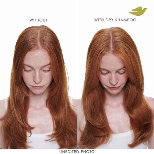 Dove Shampooing Sec Advanced Volume & Éclat Rafraîchit & Redonne du Corps aux Cheveux Plats Sans Eau Pour 2 Jours de Fraîcheur & de Volume 142g