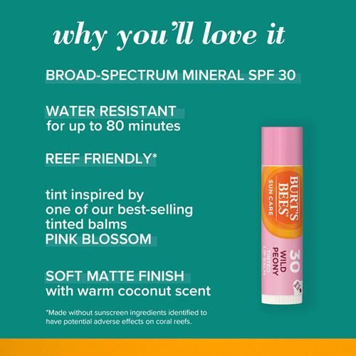Burt's Bees Soin des Lèvres Teinté Solaire, Ecran Solaire Minéral Spf 30, Pivoine Sauvage, 1 Tube