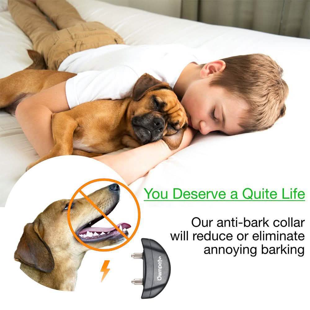 Collier de dressage anti-aboiement électrique pour chien Sûr avec choc à tonalité réglable