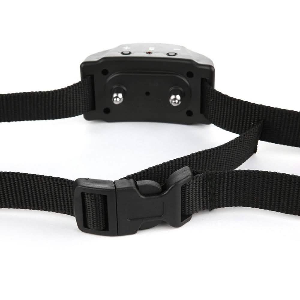 Collier de dressage anti-aboiement électrique pour chien Sûr avec choc à tonalité réglable