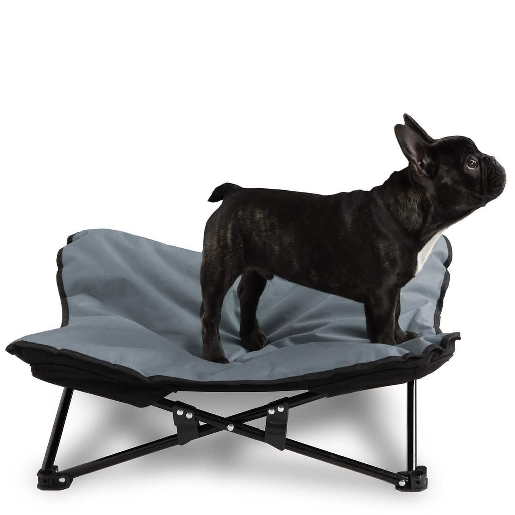 Lit de camp surélevé pour animaux de compagnie, taille moyenne