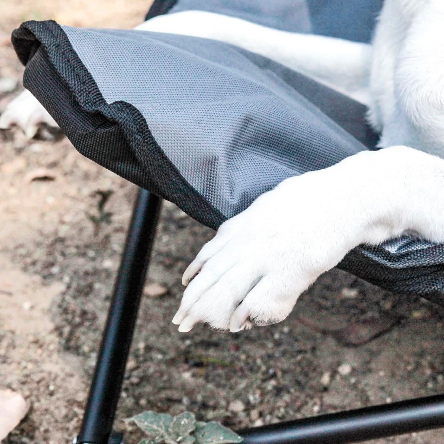 Lit de camp surélevé pour animaux de compagnie, taille moyenne