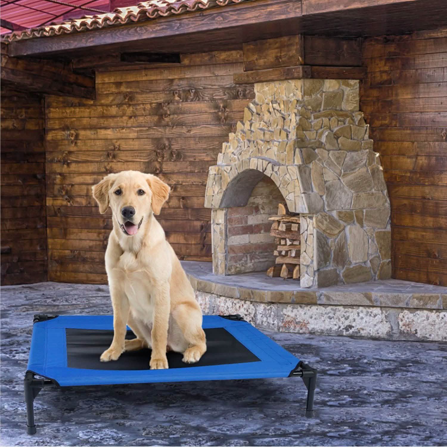 Lit pour chien surélevé