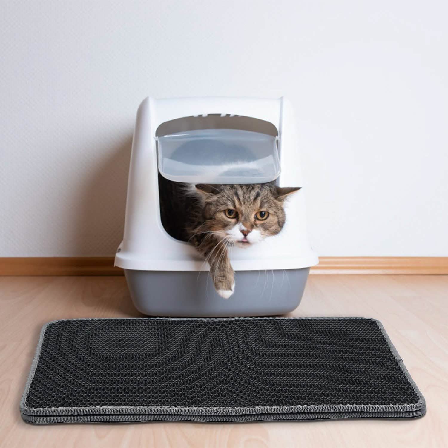 Tapis de litière pour chat double couche en EVA nid d'abeille