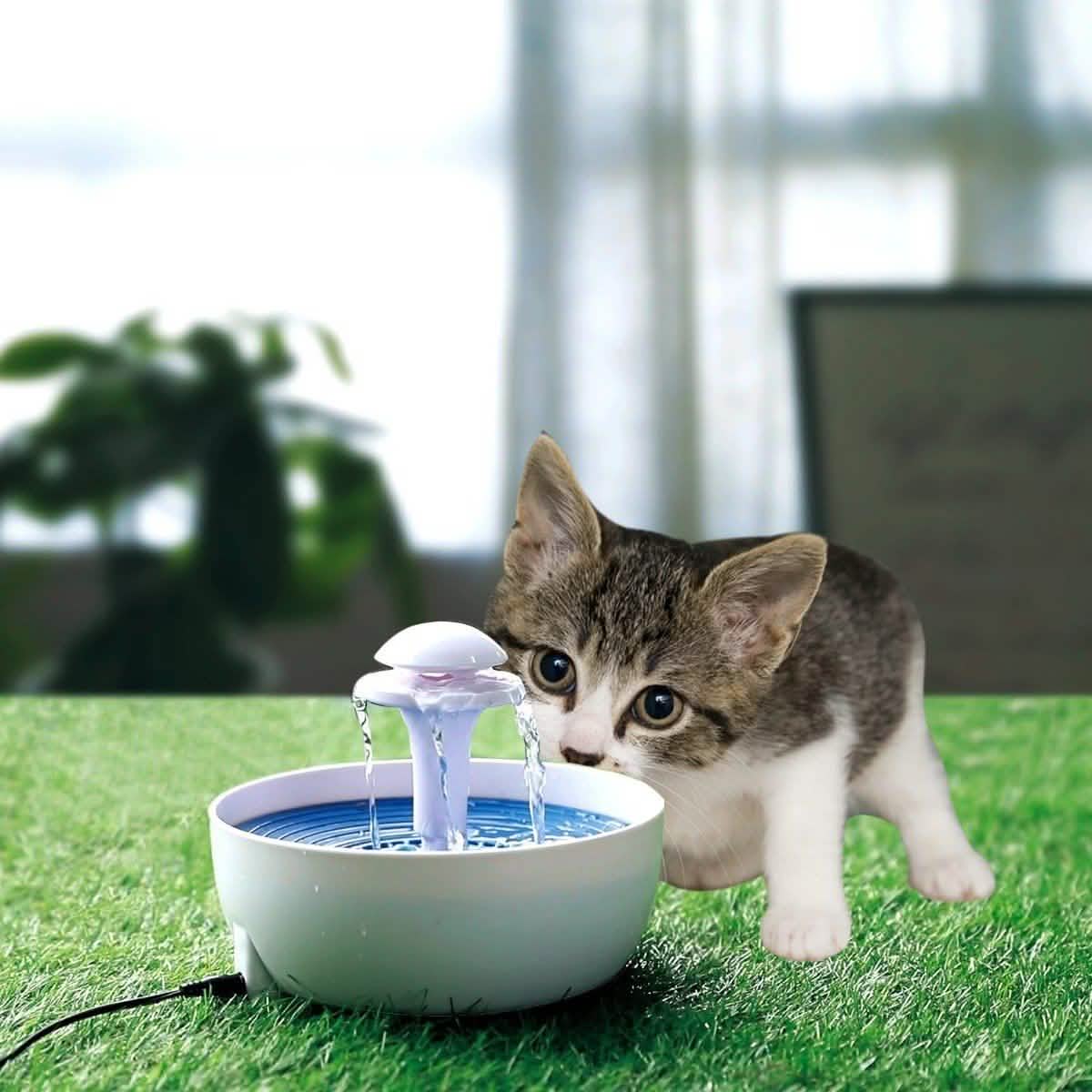 Fontaine à eau automatique Ez Pet pour animaux de compagnie