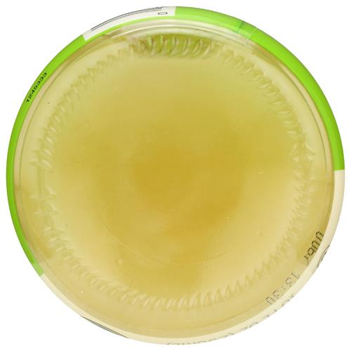 Jus de citron vert biologique Whole Foods Market, 10 oz liq.