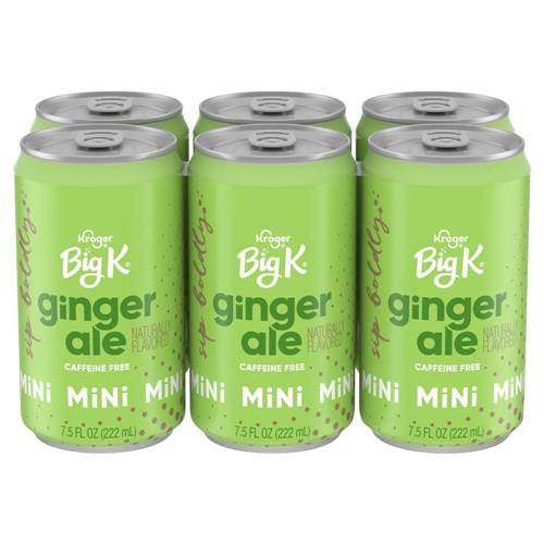 Boissons gazeuses miniatures Big K Ginger Ale sans caféine, paquet de 6 / 221 ml