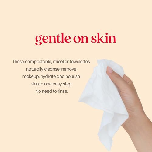 Burts Bees, Lingettes Visage à l'Eau de Rose, Pour Tous Types de Peau, Lingettes Démaquillantes Micellaires Hydratantes & Nettoyantes, 30 Unités (1 Paquet)