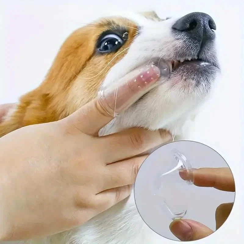 Brosse à dents de doigt pour chiens et chats
