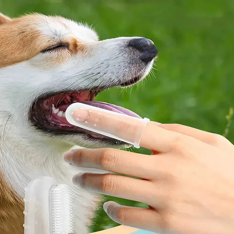 Brosse à dents de doigt pour chiens et chats