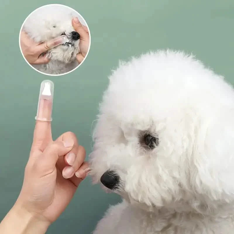 Brosse à dents de doigt pour chiens et chats