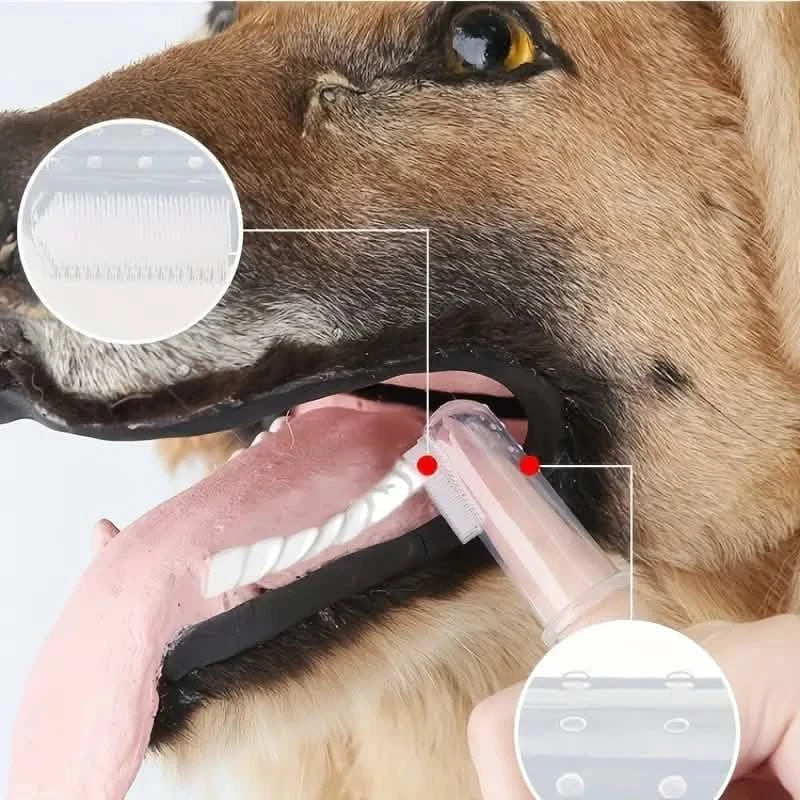 Brosse à dents de doigt pour chiens et chats