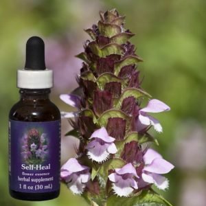 Flower Essence Services Bénédiction Forte Roll On 30 ml