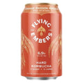 Flying Embers - Hard Kombucha « Mimosa Orange Passion » (355 ML)