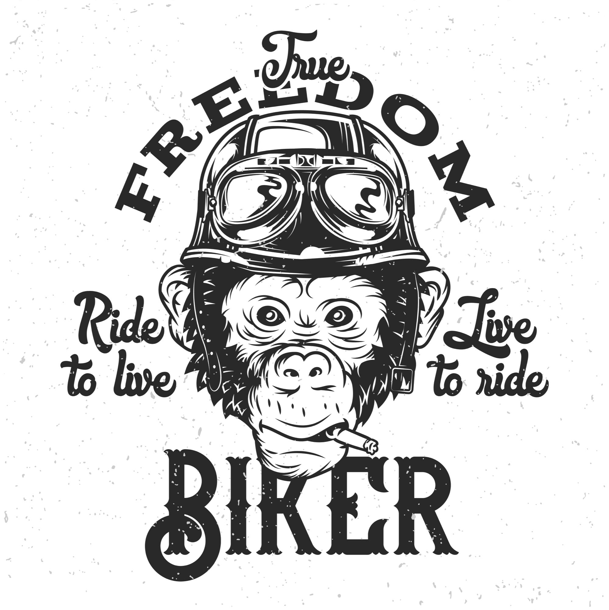 T-shirt graphique à manches courtes pour homme Freedom Biker en viscose de bambou/coton biologique