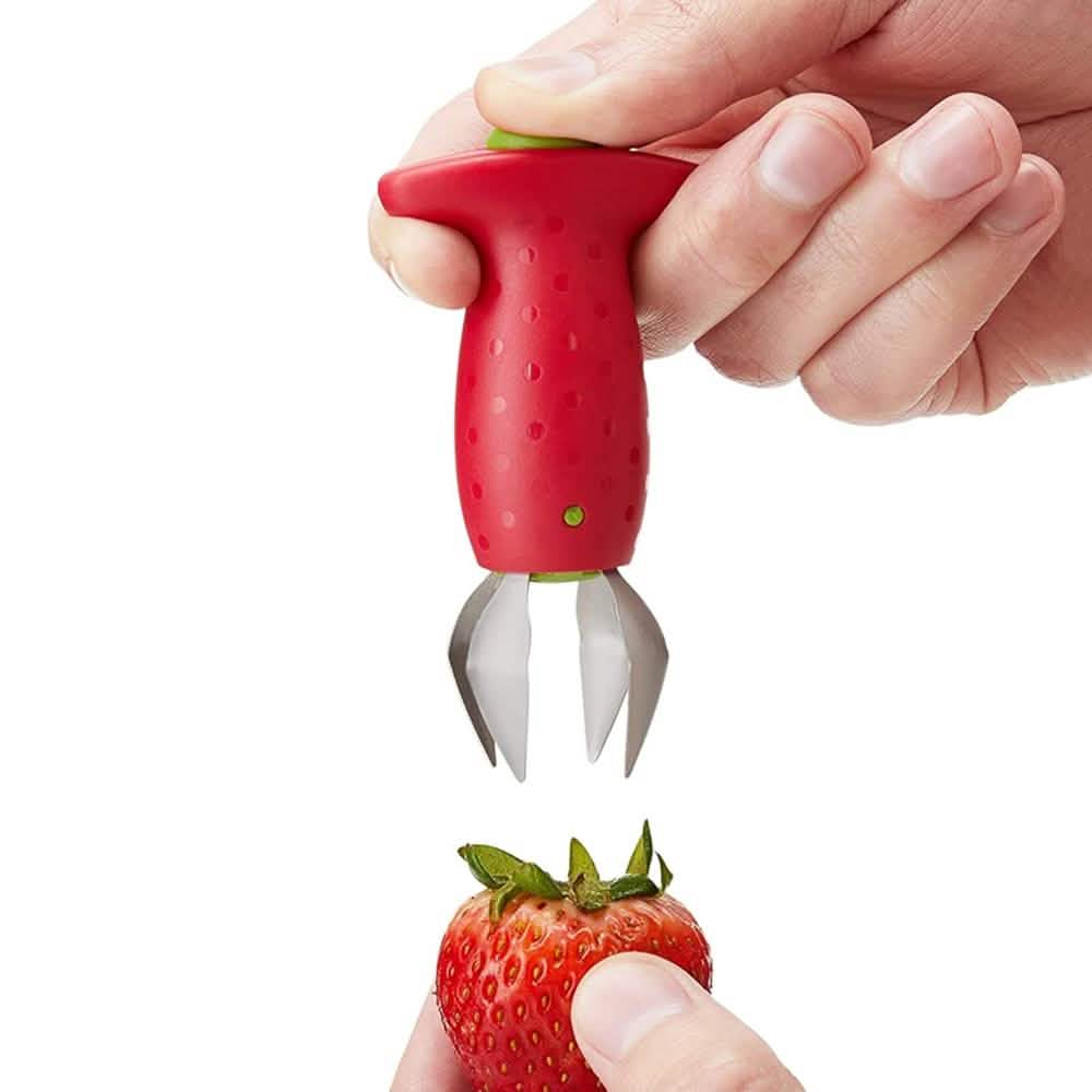 Extracteur de Trognons de Fruits