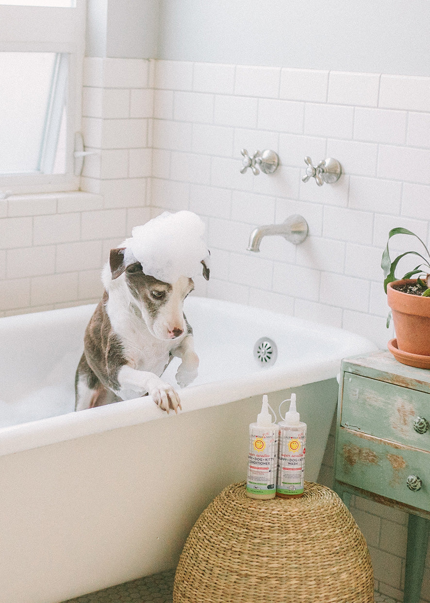 (Sans parfum) Après-shampooing Super Sensible™ Chiot + Chien + Chaton