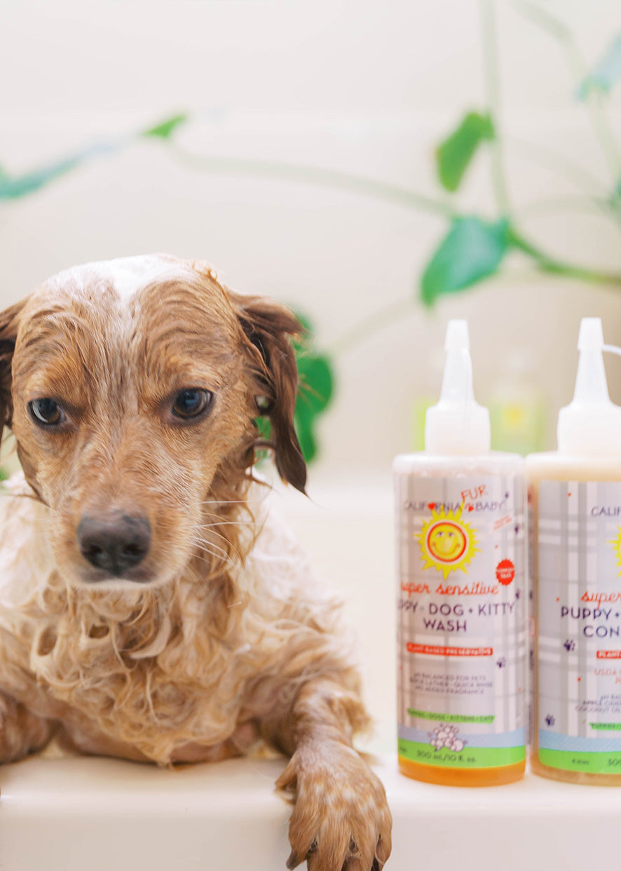 Shampoing et revitalisant Super Sensitive™ sans parfum pour chiots, chiens et chatons