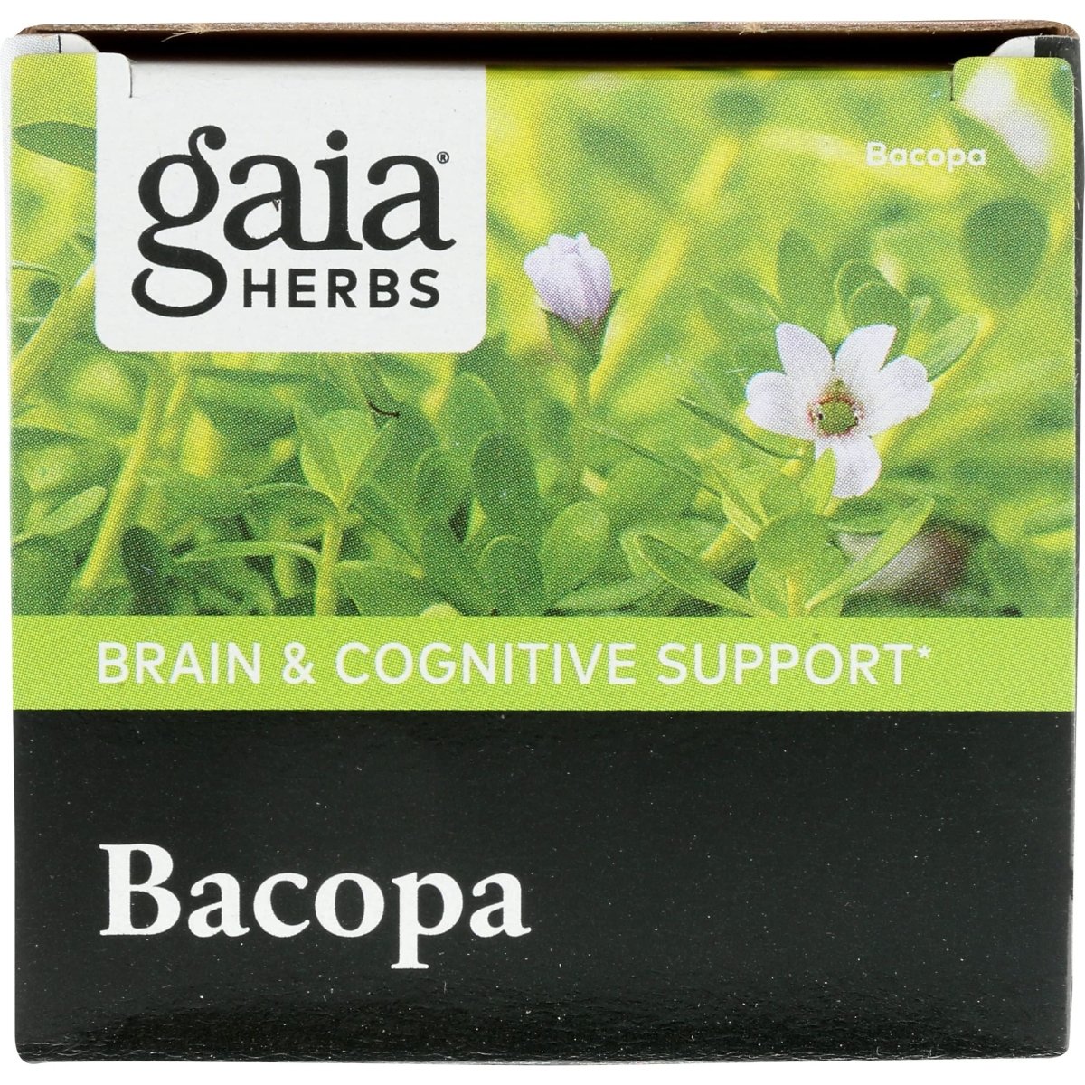 Gaia Herbs Bacopa - Complément Herbal pour le Soutien Cérébral et Cognitif - Fabriqué à partir de Bacopa (Bacopa Monnieri) pour Aider à Soutenir un Esprit Florissant - 60 Phyto-Capsules Liquides Vegan (Jusqu'à 60 Jours d'Approvisionnement)