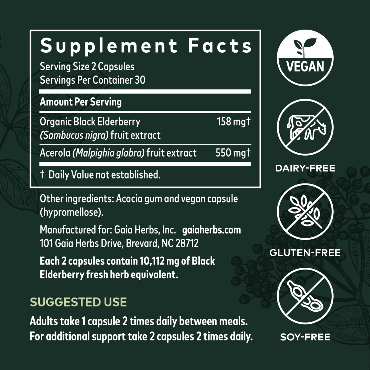Gaia Herbs Sureau Noir - Complément de soutien immunitaire quotidien pour aider à maintenir le bien-être - 60 gélules végétaliennes (approvisionnement de 30 jours)