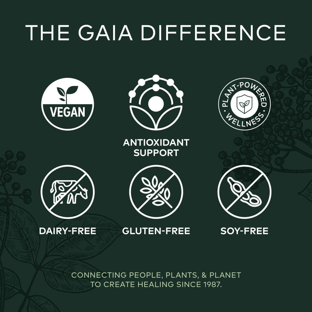 Gaia Herbs Sureau Noir - Complément de soutien immunitaire quotidien pour aider à maintenir le bien-être - 60 gélules végétaliennes (approvisionnement de 30 jours)