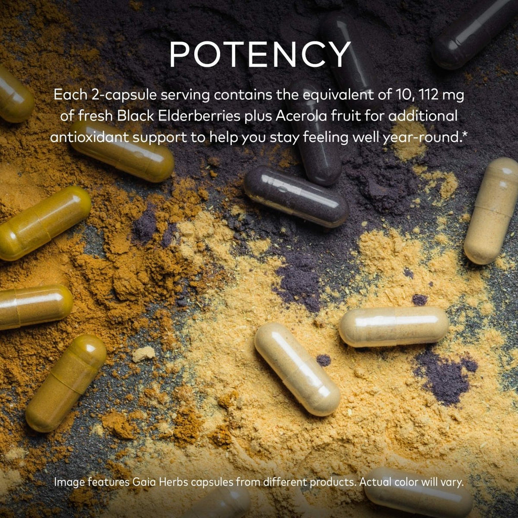 Gaia Herbs Sureau Noir - Complément de soutien immunitaire quotidien pour aider à maintenir le bien-être - 60 gélules végétaliennes (approvisionnement de 30 jours)