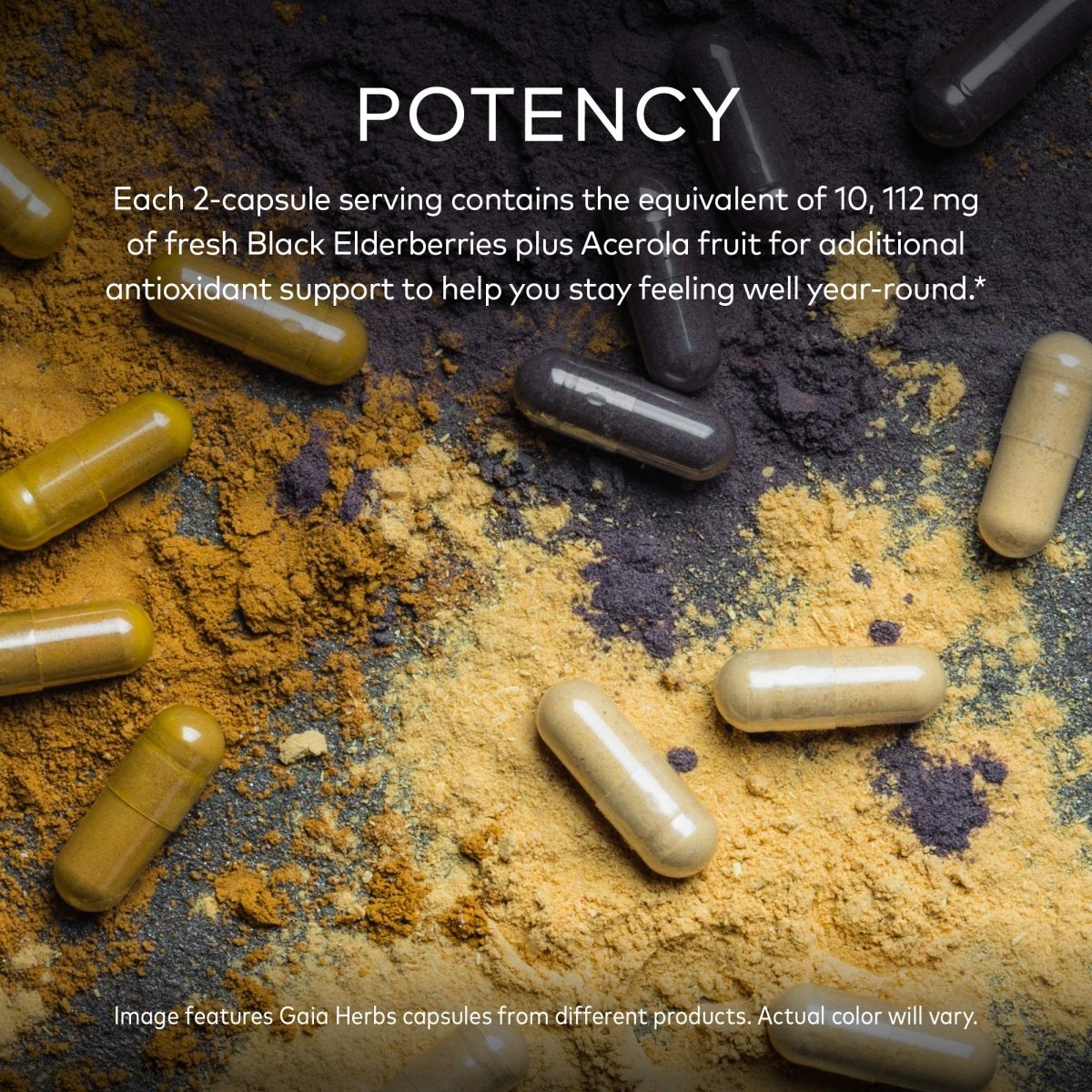 Gaia Herbs Sureau Noir - Complément de soutien immunitaire quotidien pour aider à maintenir le bien-être - 60 gélules végétaliennes (approvisionnement de 30 jours)
