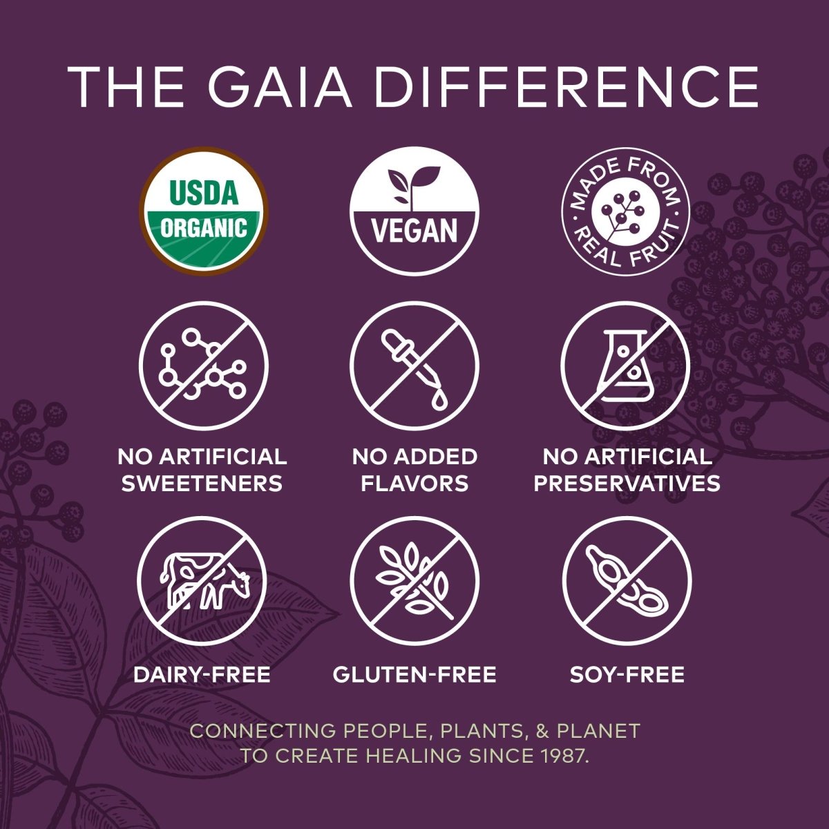 Gaia Herbs Gommes Sureau Noir Extra Fortes - Soutien Immunitaire avec Sureau Noir Certifié Biologique - 40 Gommes