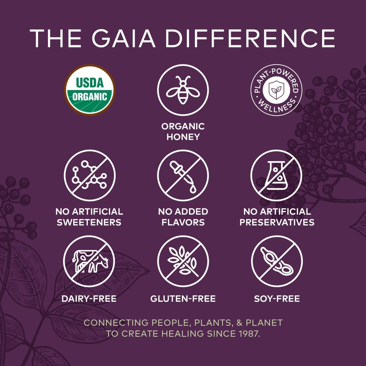 Gaia Herbs Sirop de Sureau Noir Quotidien Adulte – 5,4 fl oz (16 jours d'approvisionnement)