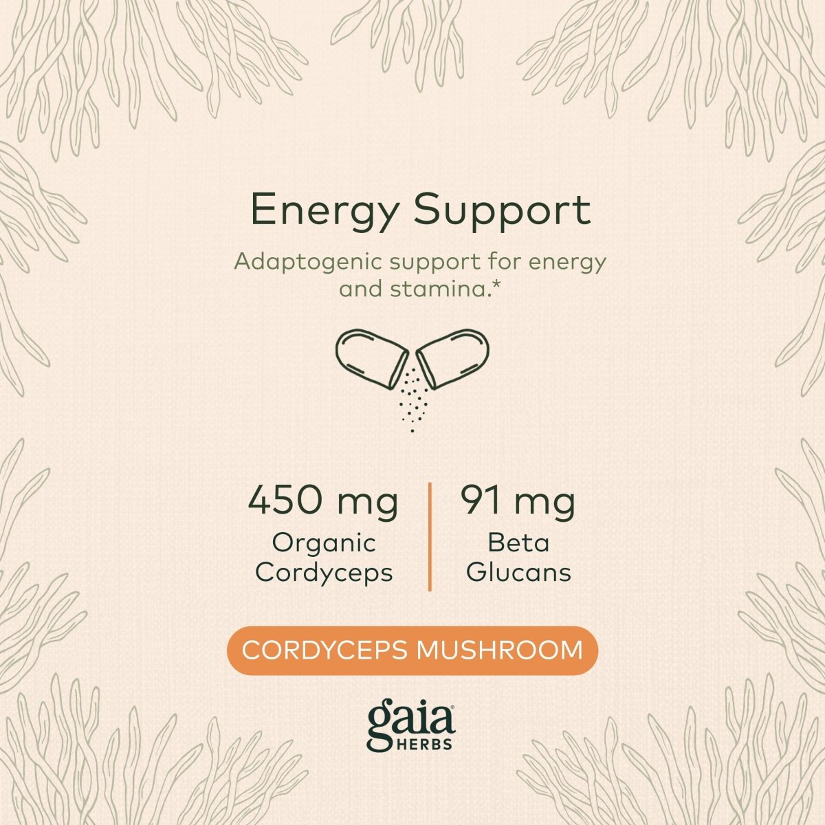 Gaia Herbs - Soutien Énergétique Champignon Cordyceps 450 mg - 40 Gélules